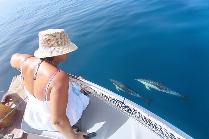2 h Estepona Bay Tour - Five things to know before you book