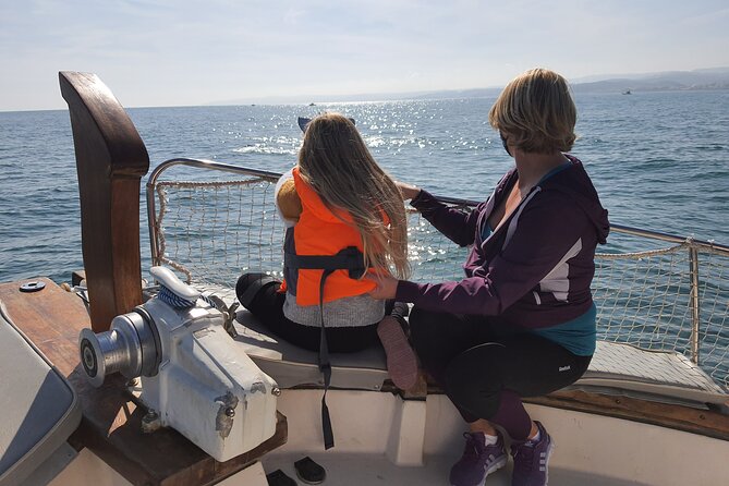2 h Estepona Bay Tour - The dolphin search depends on patience and weather