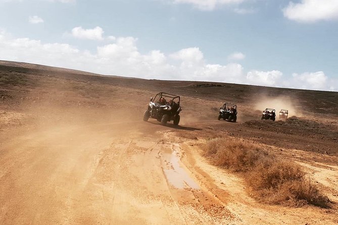 2-hour Buggy Tour from Costa Teguise - Quick facts worth knowing