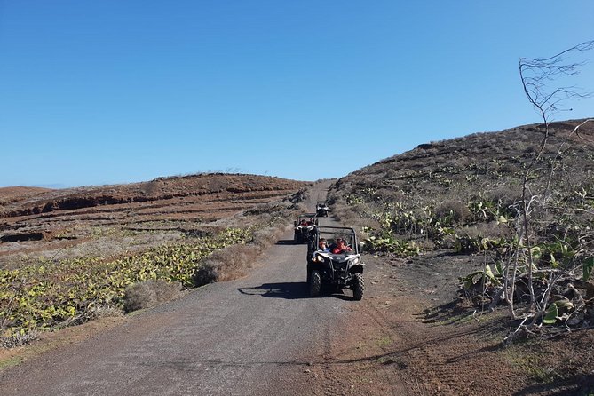 2-hour Buggy Tour from Costa Teguise - Who will enjoy this ride most