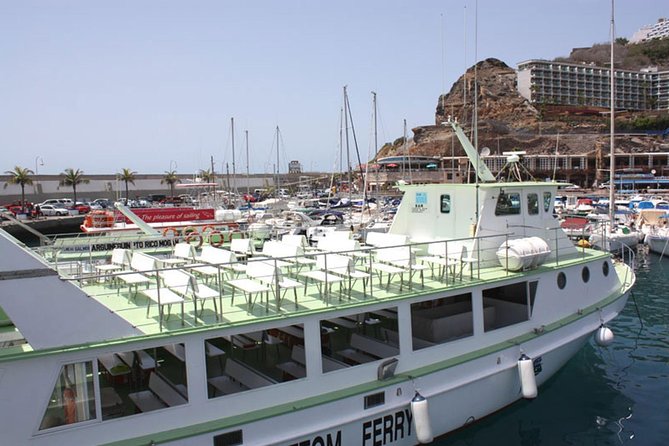 2-Hour Dolphin and Whale Watching in Gran Canaria - Deck views, sun, and the onboard bar