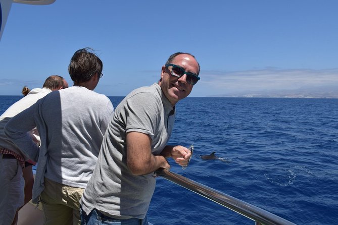 2-Hour Dolphin and Whale Watching in Gran Canaria - Dolphins, whales, turtles, and flying fish