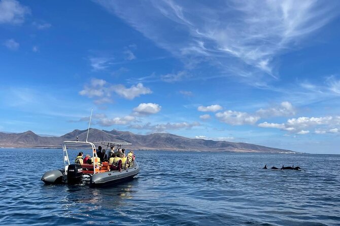 2h Dolphin and Whale Viewing + Snorkeling Tour - What makes this Morro Jable boat trip different