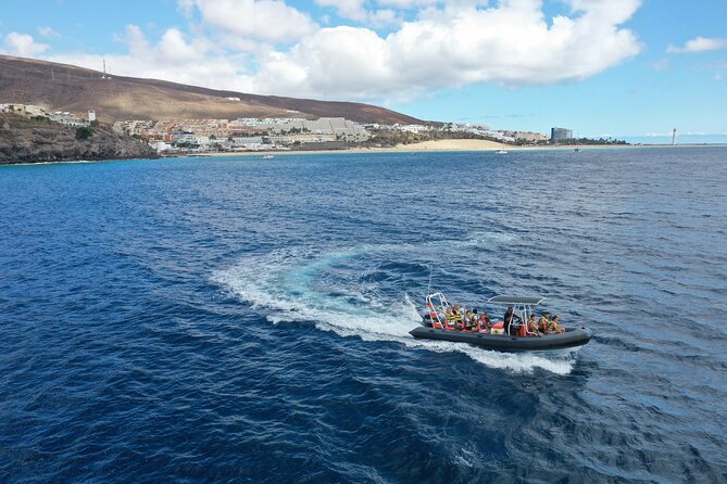 2h Dolphin and Whale Viewing + Snorkeling Tour - Leaving Puerto del Morro Jable