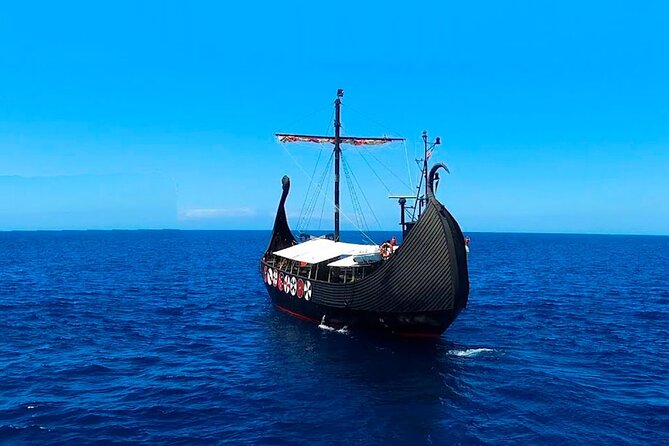 2h Viking Cruise Whales & Dolphins Watching - Is $24.19 good value?