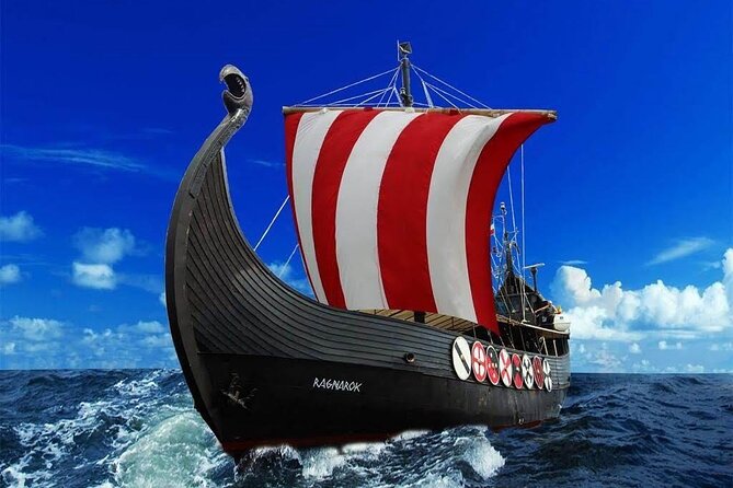 2h Viking Cruise Whales & Dolphins Watching - Who should book this Viking cruise?