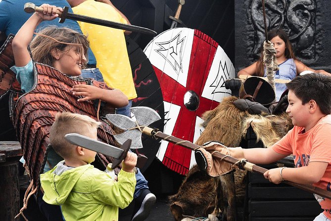 2h Viking Cruise Whales & Dolphins Watching - A Viking show with a family-friendly feel