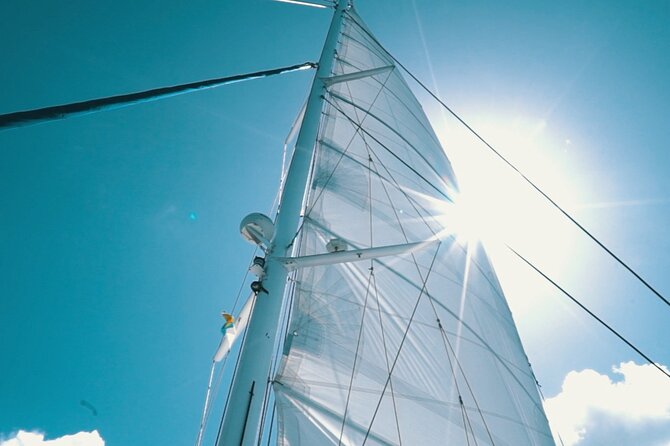 2hrs Dolphins Sunset Sailing Cruise With Drink - Is $61.27 good value for two hours?