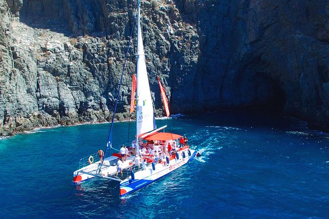 3-hour Whale and Dolphin Watching and Listening Tour - Key things to know before booking