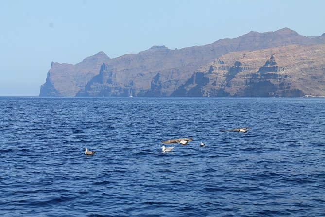 3h Boat Trip + Snorkeling in Puerto de Mogan - Photos, Drone Clips, and the Little Extras