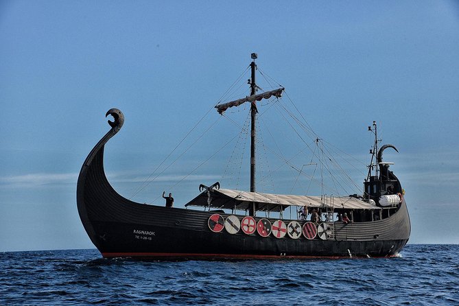 3h Viking Cruise with Drinks, Whales watching & Swimming Time - Families, couples, and the right kind of afternoon