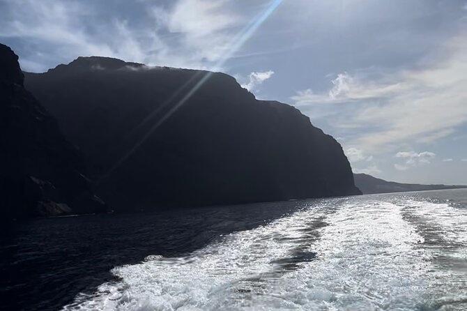 4 Hour Boat Tour with Snorkeling from Puerto Rico and Mogan - Lunch, sangria, and the drinks service