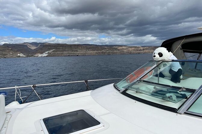 4 Hour Boat Tour with Snorkeling from Puerto Rico and Mogan - Jet skis and other paid extras