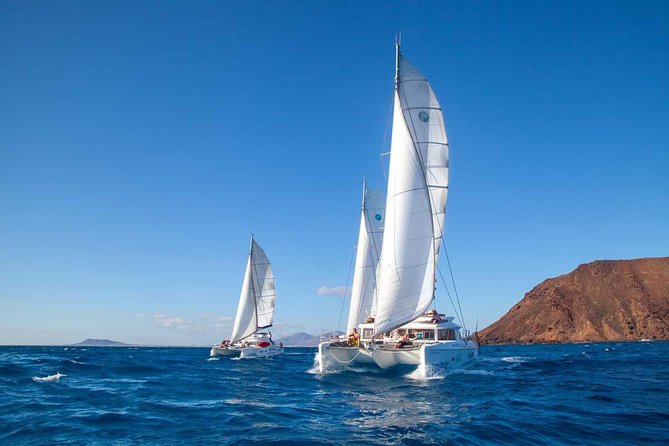 4-Hour Sailing Tour of Lobos Island from Fuerteventura - The crew makes the difference