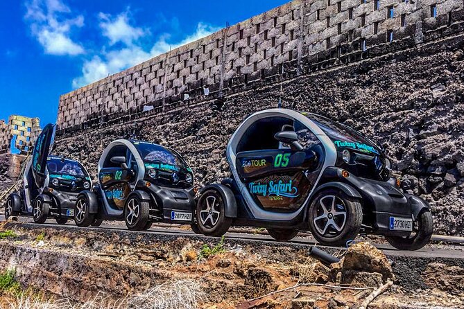 4 Hours Eco Safari Tour with Electric Car in Tenerife - Why this electric safari feels different