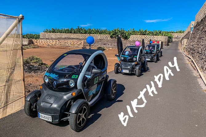 4 Hours Eco Safari Tour with Electric Car in Tenerife - Santiago del Teide and village life away from the coast