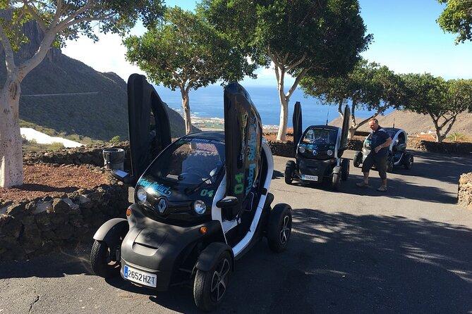 4 Hours Eco Safari Tour with Electric Car in Tenerife - Chío and the local kitchen