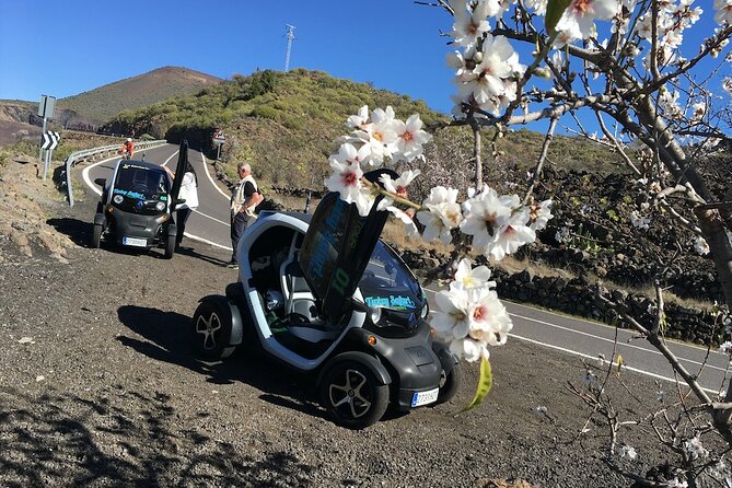 4 Hours Eco Safari Tour with Electric Car in Tenerife - Lava, plants, and mountain roads