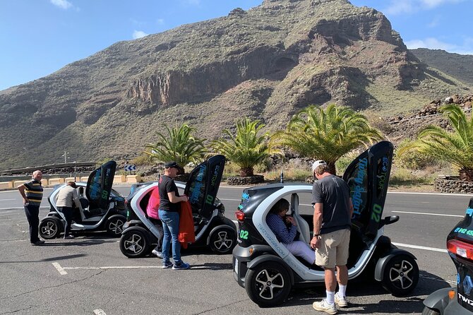 4 Hours Eco Safari Tour with Electric Car in Tenerife - Starting at Hotel Rural El Navío