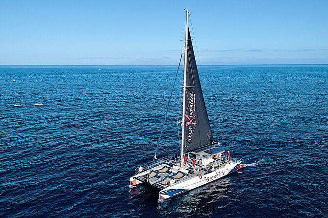 5 hr watching and listening whales and dolps. Visit Los Gigantes - Sailing beneath the Los Gigantes Cliffs