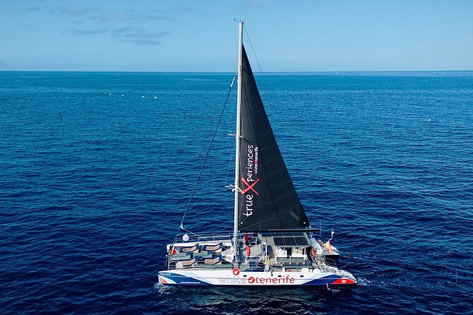 5 hr watching and listening whales and dolps. Visit Los Gigantes - A swim and snorkel stop in Masca Bay
