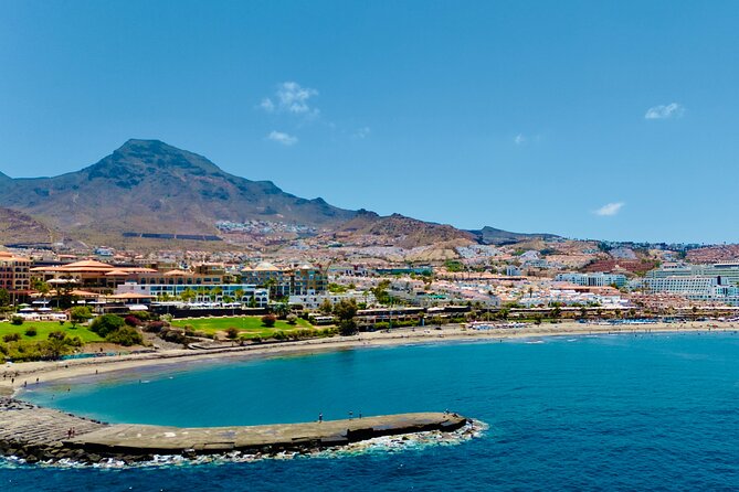 5 hr watching and listening whales and dolps. Visit Los Gigantes - How the $71.38 price measures up