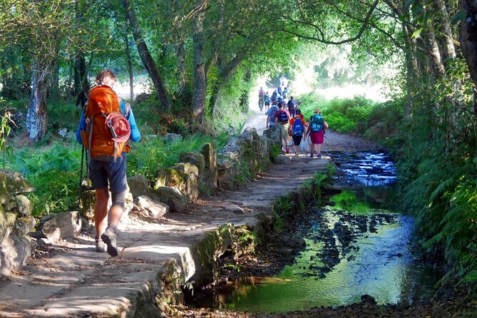 7-Day Tour of the French Way of Santiago from Sarria - Key points to know before booking