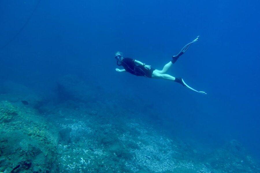 Abades: Guided Snorkeling Tour with Photos - What this Abades snorkeling tour is really like