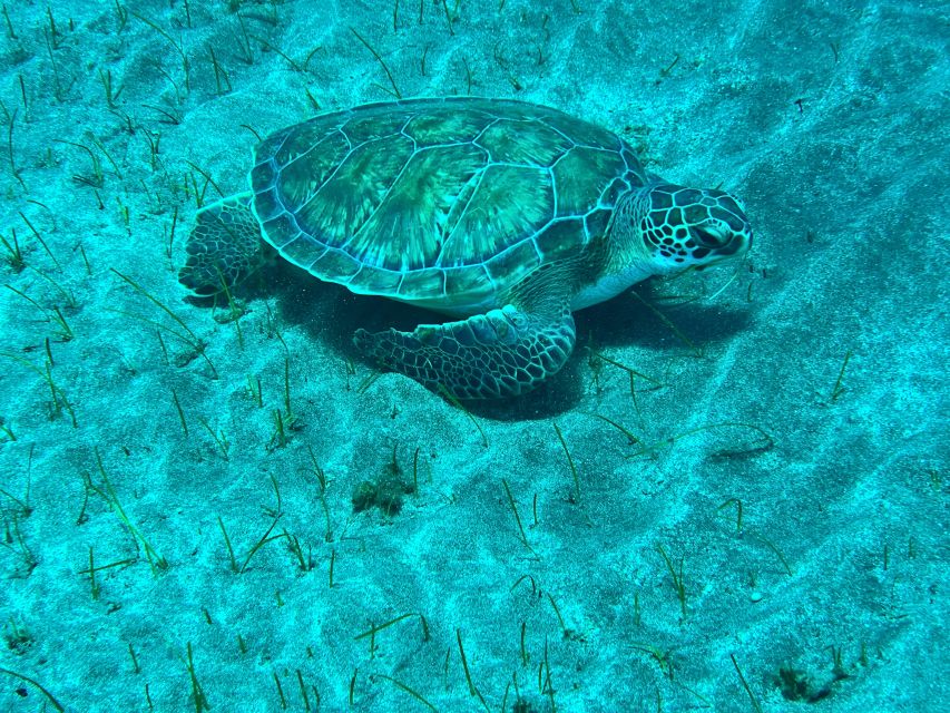 Abades: Guided Snorkeling Tour with Photos - The first minutes in the water
