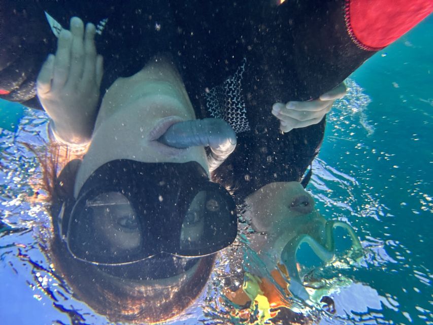 Abades: Guided Snorkeling Tour with Photos - The turtle search, with realistic expectations