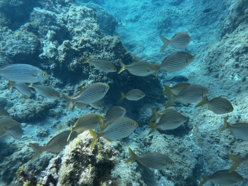 Abades: Guided Snorkeling Tour with Photos - Photos and videos without an extra charge