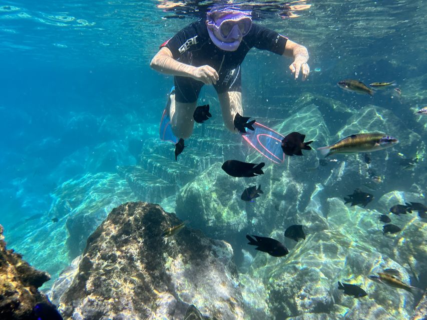 Abades: Guided Snorkeling Tour with Photos - Guide quality and the small-group feel
