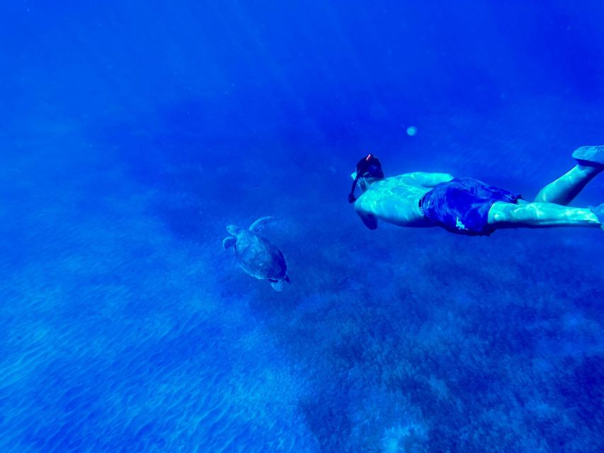 Abades: Guided Snorkeling Tour with Photos - Meeting at Magilu and getting ready