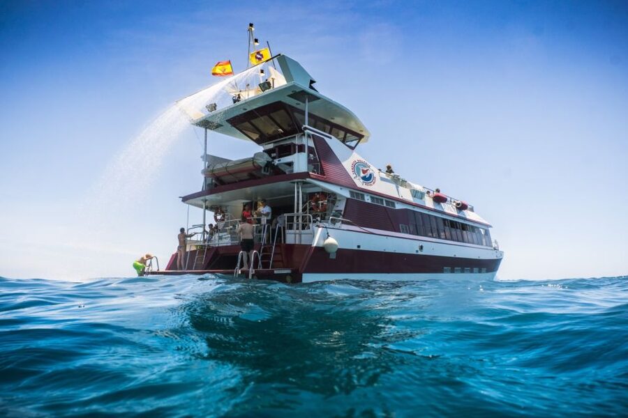 Adeje: Whale and Dolphin Watching Cruise with Lunch and Swim - At a glance