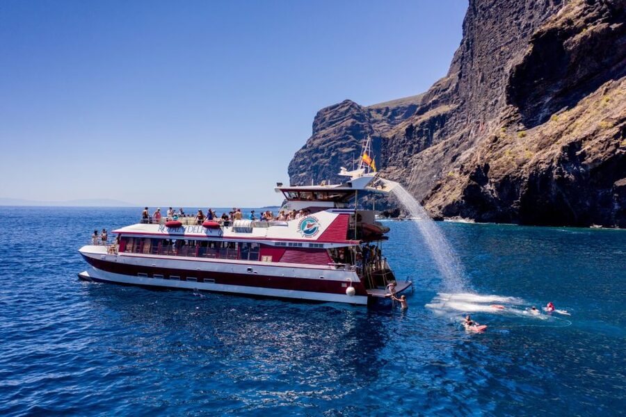 Adeje: Whale and Dolphin Watching Cruise with Lunch and Swim - Should you book the Adeje whale cruise?