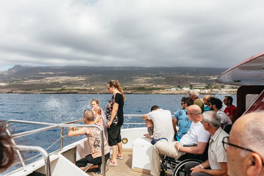 Adeje: Whale and Dolphin Watching Cruise with Lunch and Swim - Taking the longer Masca and Los Gigantes route