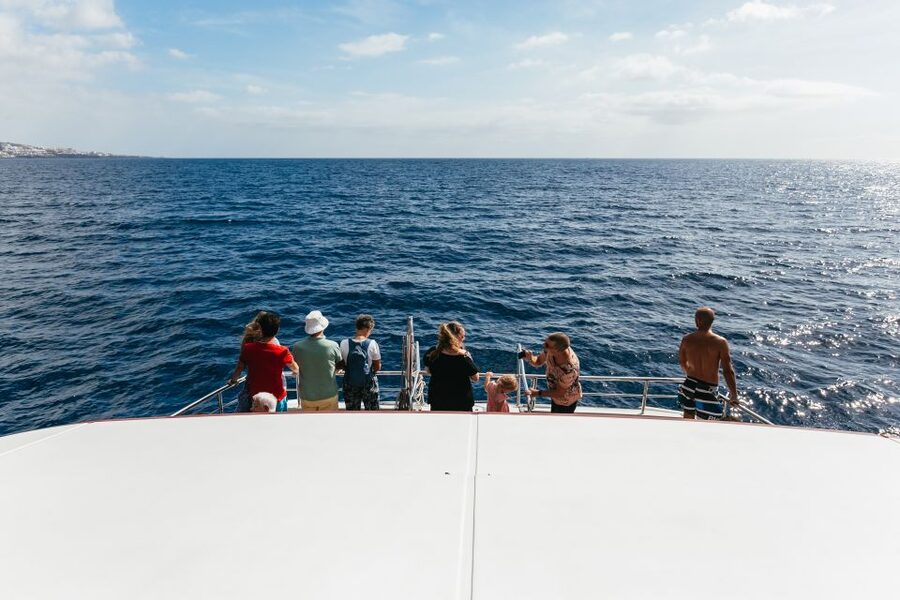 Adeje: Whale and Dolphin Watching Cruise with Lunch and Swim - What the crew adds to the outing