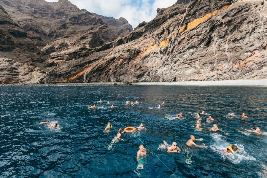 Adeje: Whale and Dolphin Watching Cruise with Lunch and Swim - Who will enjoy this cruise most?