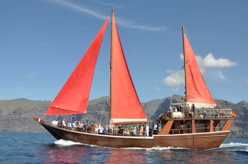 Adeje: Whale Watching Tour to Los Gigantes with lunch & swim - What your five hours actually look like