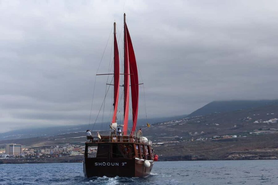 Adeje: Whale Watching Tour to Los Gigantes with lunch & swim - Lunch, drinks and the atmosphere onboard