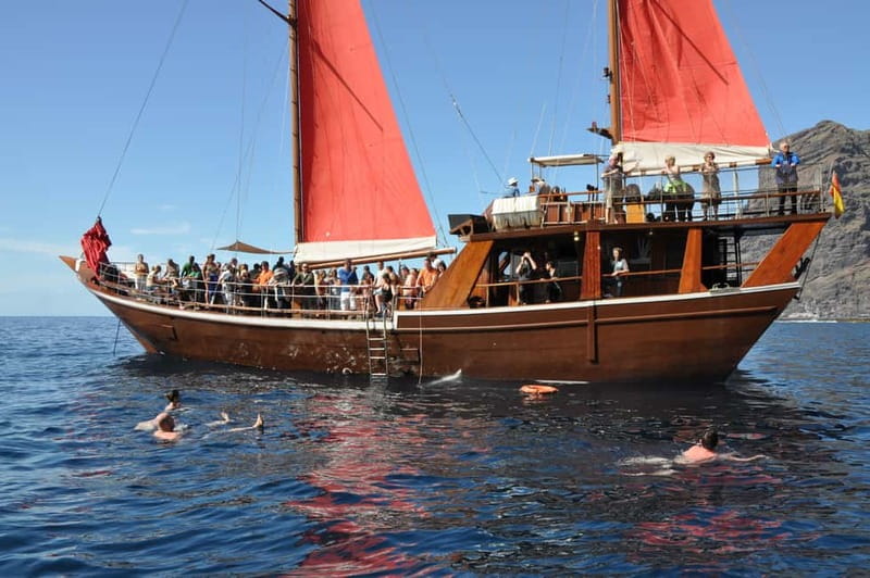 Adeje: Whale Watching Tour to Los Gigantes with lunch & swim - The boat ride and seasickness question