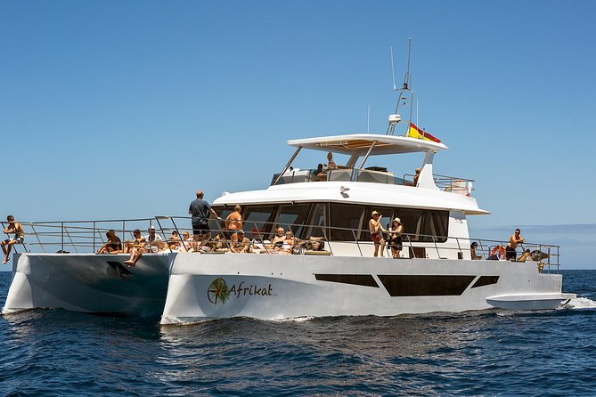 Afrikat Afternoon Cruise - Crew service, music, and the mood on board