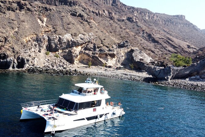 Afrikat Morning Cruise - Key points to know before you book