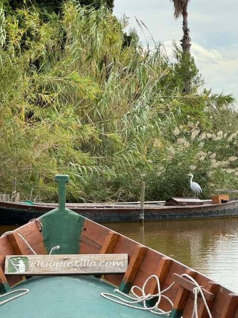 Albufera of Valencia: Guided boat ride around the Albufera - Key points to know before you go