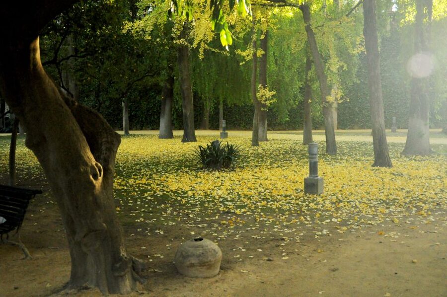 Alcázar of Seville Skip-the-Line Tickets and Guided Tour - The gardens are part of the main event