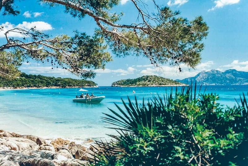 Alcudia: Formentor Beach, Lighthouse Cruise, and Small Group - What kind of boat trip is this?