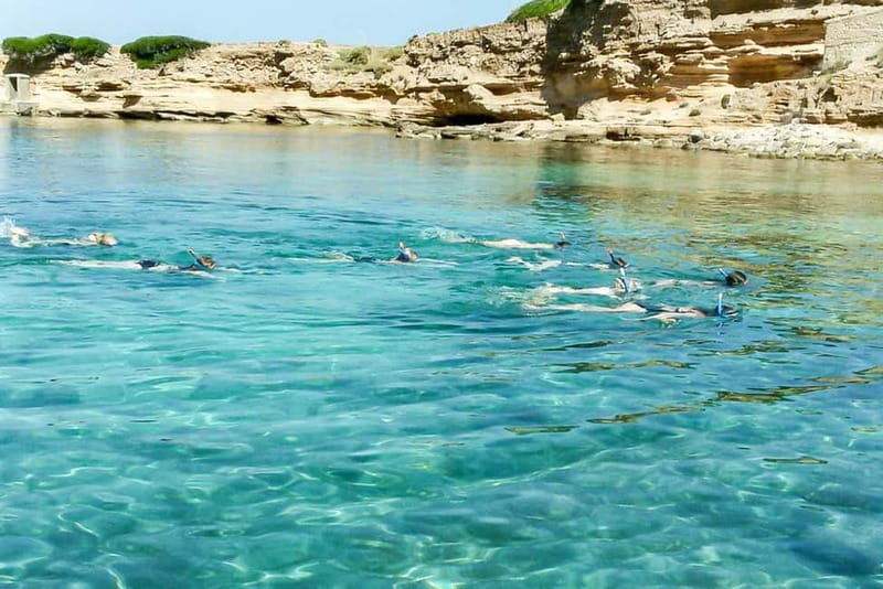 Alcudia: Formentor Beach, Lighthouse Cruise, and Small Group - Who should book this Alcudia cruise?