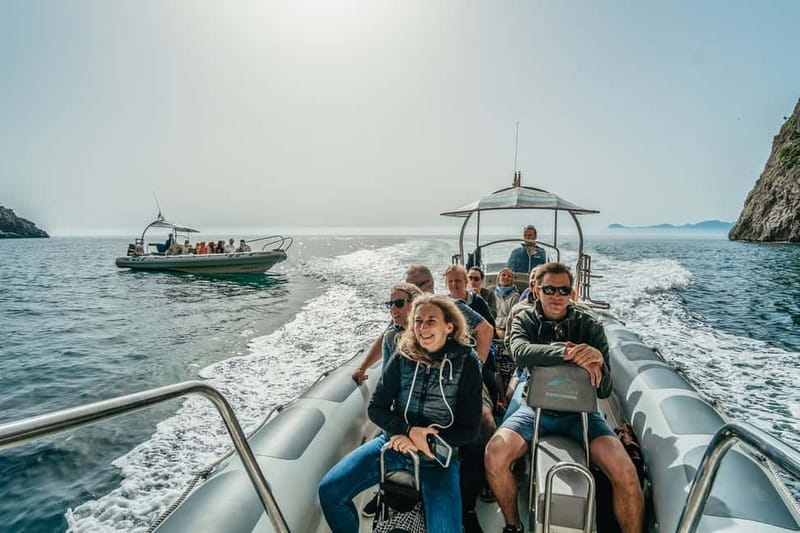 Alcudia or Can Picafort: Dolphin-Watching Cruise - Practical tips for a smoother three hours