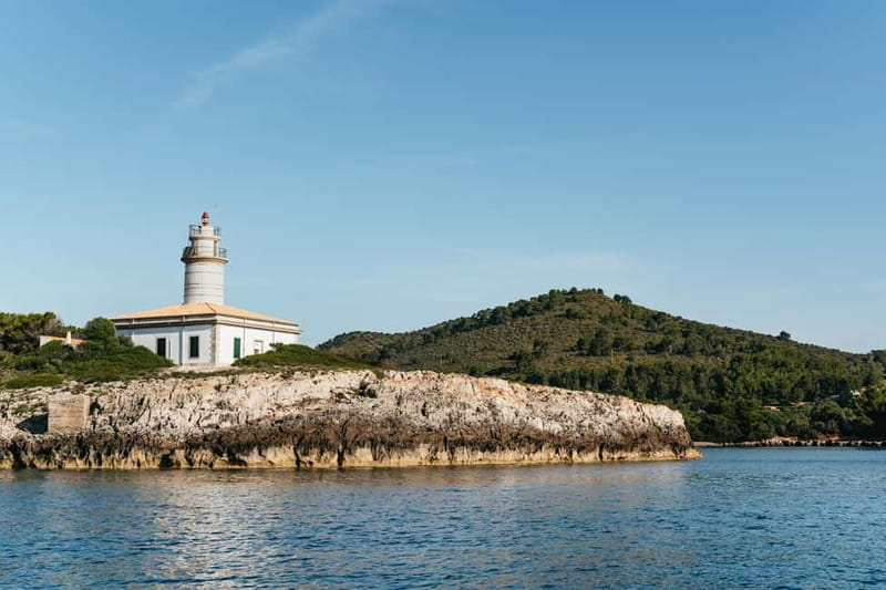 Alcudia or Can Picafort: Dolphin-Watching Cruise - Cabo Formentor from the water