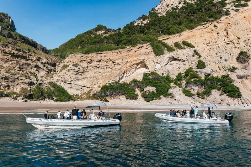 Alcudia or Can Picafort: Dolphin-Watching Cruise - Sunrise or afternoon: choosing the right departure